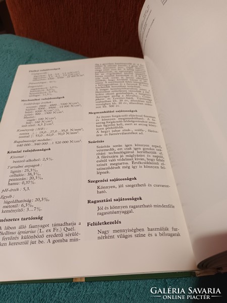 Haszonfák - Műszaki Könyvkiadó - Szakkönyv - 1979 - Dr. Babos Károly - Illusztrált