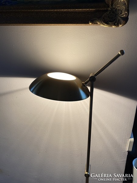 Orion adjustable floor lamp, brightness control!