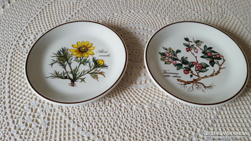 Villeroy & boch botanica small bowl, plate 2 pcs.
