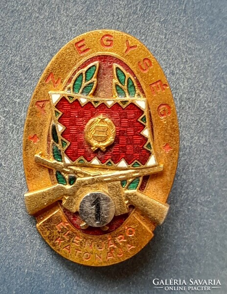 Unit's Vanguard Soldier Badge