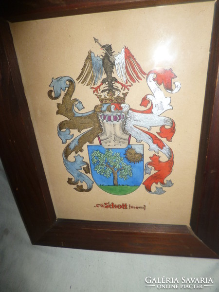 Régi kézzel festett nemesi címer kép