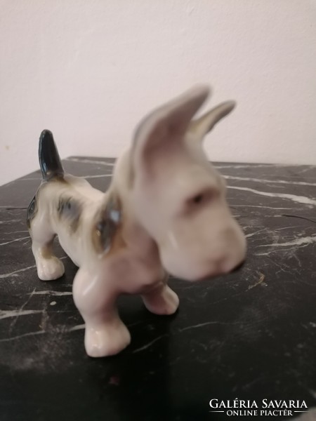 Skot terrier royal dux dog. A very rare collector's item