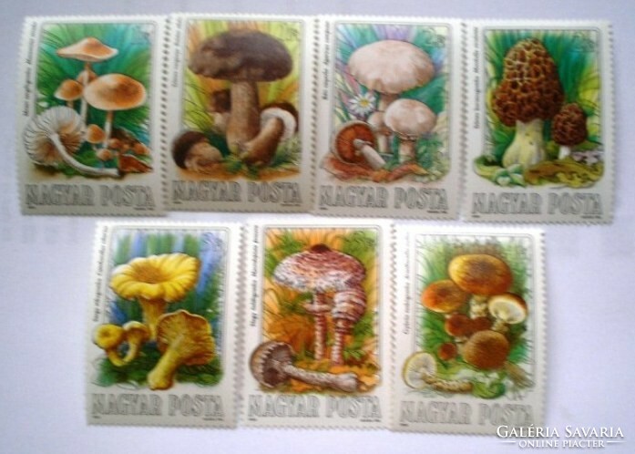 S3663-9 / 1984 Gombák - Ehető gombák bélyegsor postatiszta