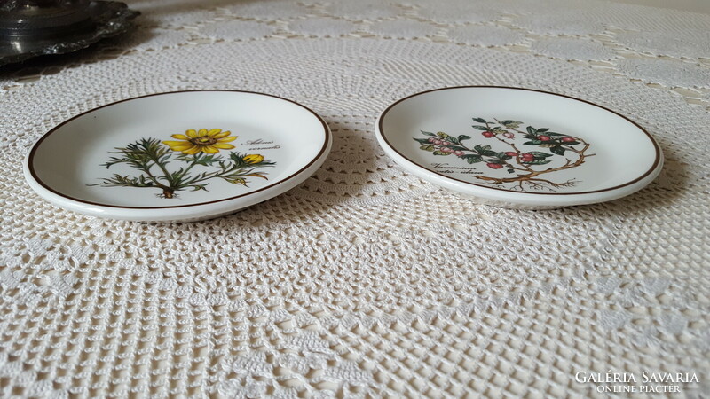 Villeroy & boch botanica small bowl, plate 2 pcs.