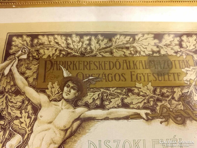 Papírkereskedői oklevél 1902-ből, szép grafikájú papírrégiség, keretezve, dekorációként
