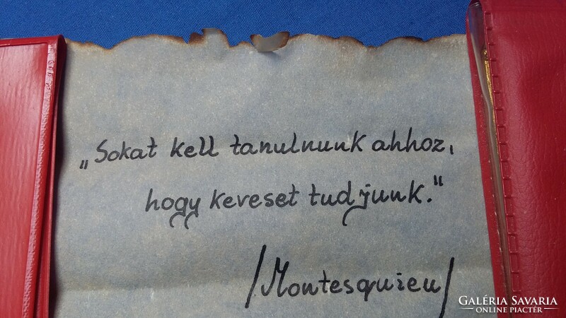 50 éves ballagási tarisznya 1968 - 1972 - Semmelweis Eü. Szakközépiskola Bp. XIX. (pogácsa, kitűző)