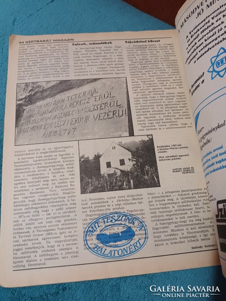 Kertbarát Magazin 1981. Nyár - Június - A KERTÉSZET ÉS SZŐLÉSZET ALKALMI KIADVÁNYA