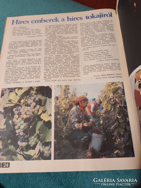 Kertbarát Magazin 1980. Október: ősz-tél A KERTÉSZET ÉS SZŐLÉSZET ALKALMI KIADVÁNYA