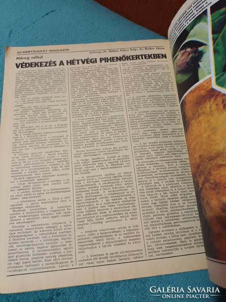 Kertbarát Magazin 1981. Nyár - Június - A KERTÉSZET ÉS SZŐLÉSZET ALKALMI KIADVÁNYA