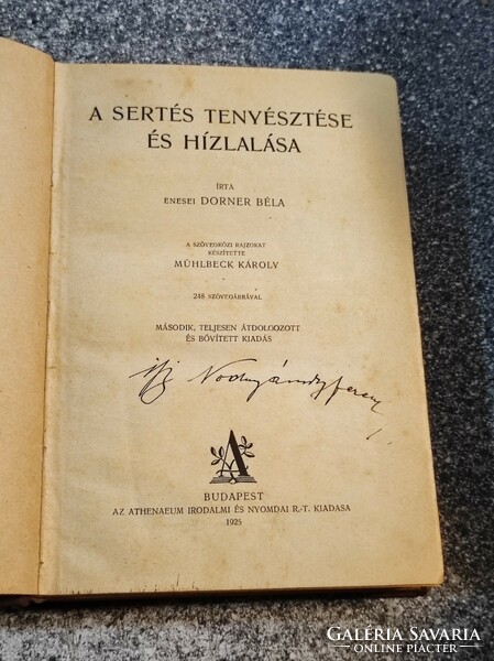 Enesei Dorner Béla: A sertés tenyésztése és hízlalása -1925- RITKA !!!