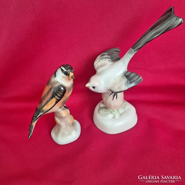 Aquincumi porcelán madár, őszapó és pacsirta
