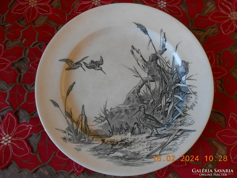 William brownfield & son Victorian English faience plate, 1875 i