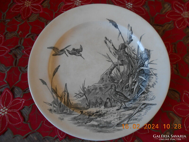 William brownfield & son Victorian English faience plate, 1875 i