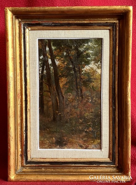 Celestine Pállya (1864 - 1948): forest fragment