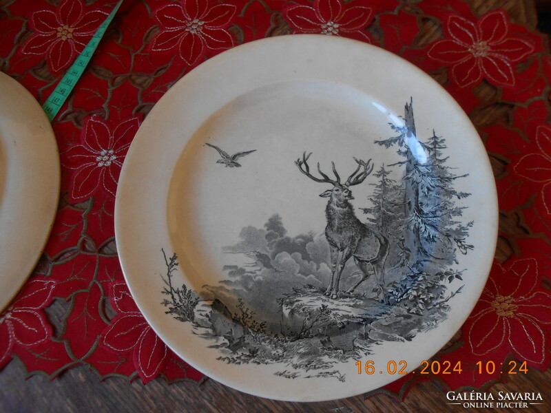 William brownfield & son Victorian English faience plate, 1875