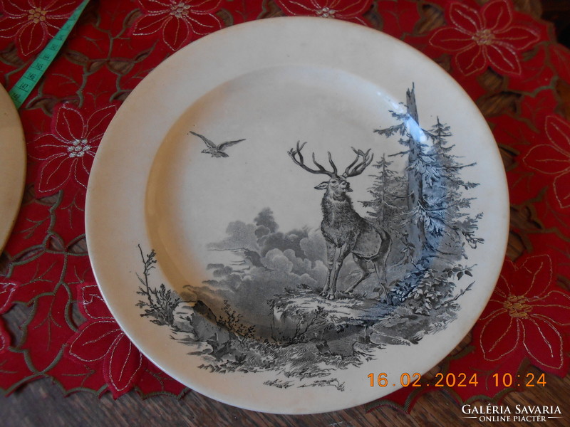William brownfield & son Victorian English faience plate, 1875