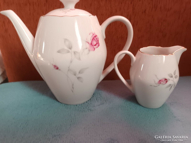 Epiag - made in Czechoslovakia - beautiful rose pattern spouts in one