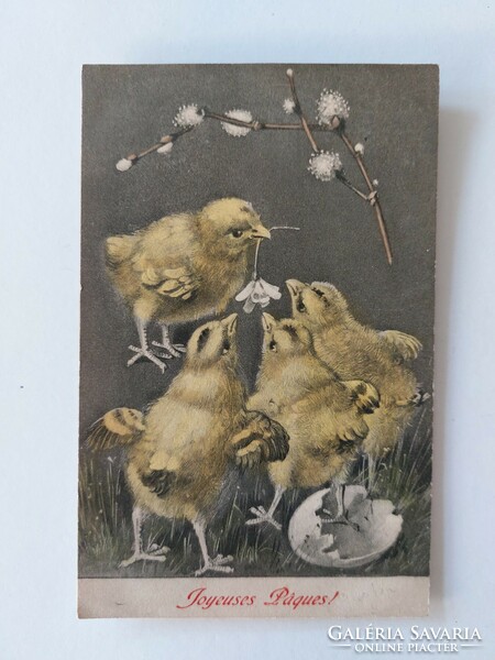 Old Easter postcard 1909 m. M. Vienne