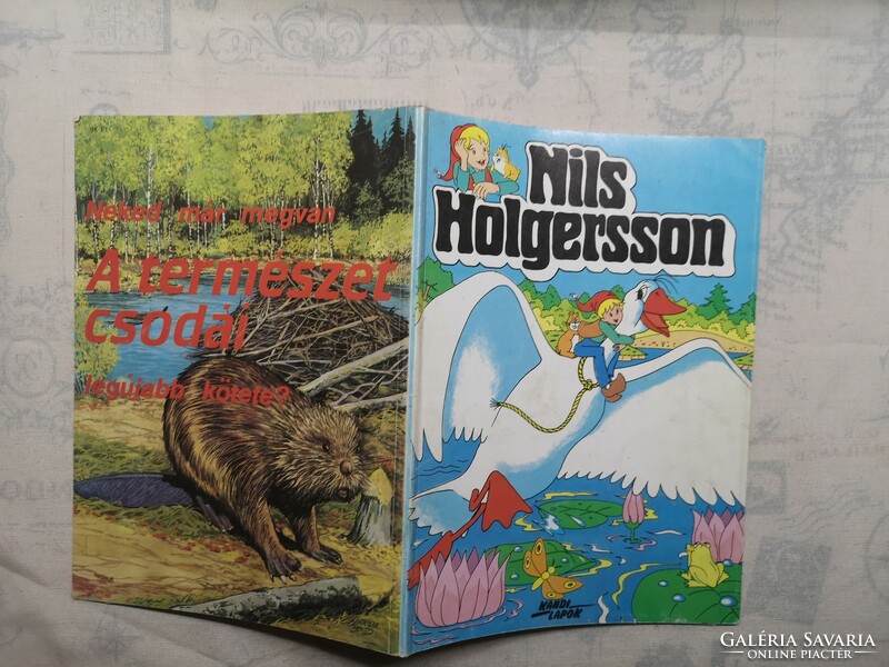 Nils holgersson's wonderful journey with wild geese