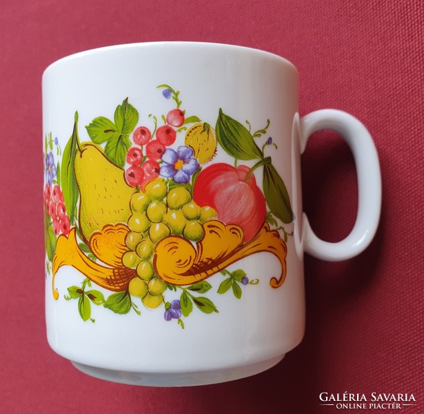 Seltmann weiden bavaria german porcelain mug cup with fruit pattern