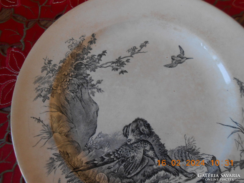 William Brownfield & Son Viktória korabeli angol fajansz tányér, 1875 II