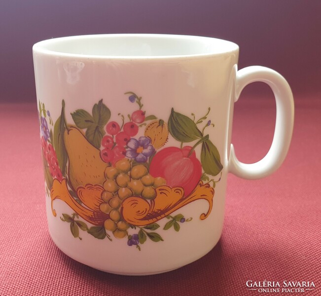 Seltmann weiden bavaria german porcelain mug cup with fruit pattern