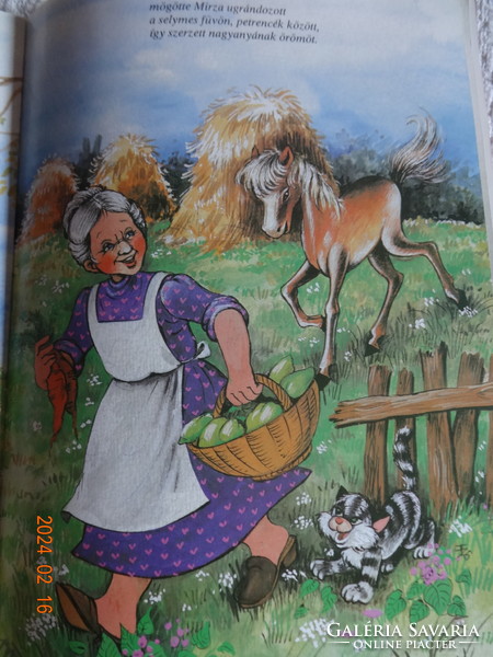 István Simon: mirza - a fairy tale in verse about a little foal with drawings by Zsuzsa Füzesi