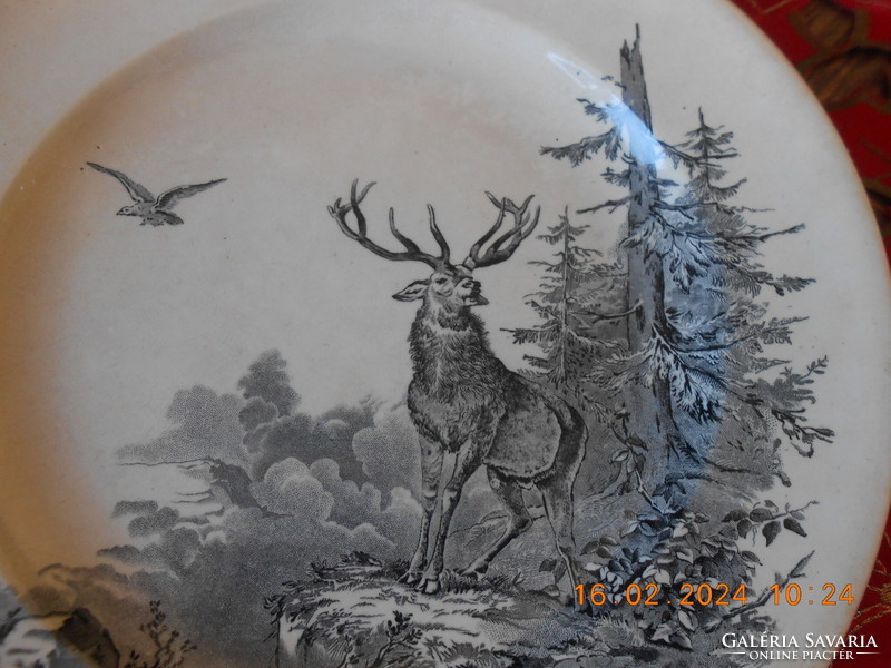 William brownfield & son Victorian English faience plate, 1875