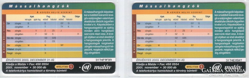 Magyar telefonkártya 1135  Puska 2001 Nyelvtan 1  GEM 6-7     3.000-27.000  db.