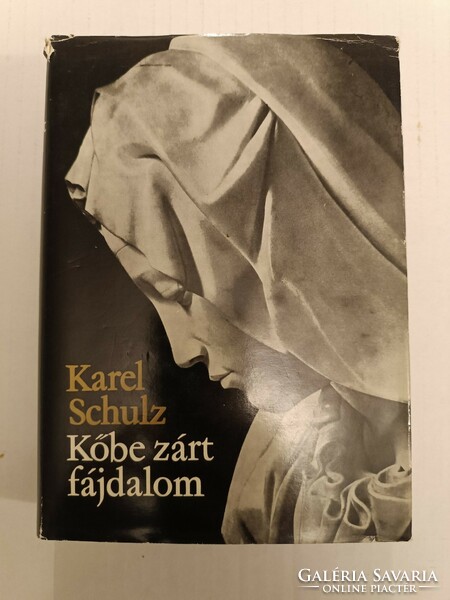 Karel Schulcz: Kőbe zárt fájdalom - Michelangelo élete 1973