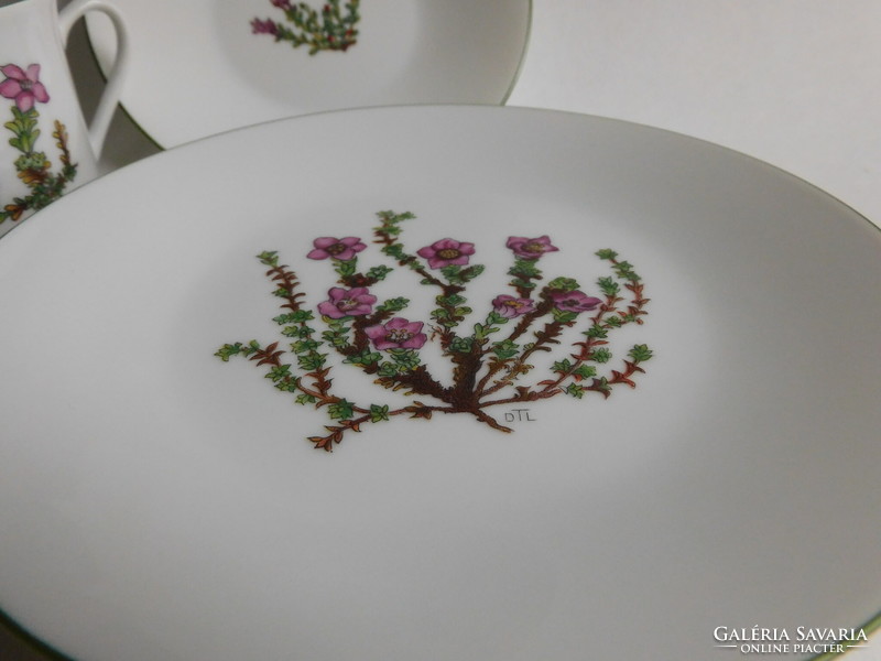 Vintage Porsgrund 3 részes reggeliző botanikai dekorral - Saxifraga - kőtörőfű