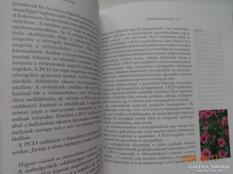 Tisztán és egyszerűen  gyógynövényekről, ásványi anyagokról, vitaminokról