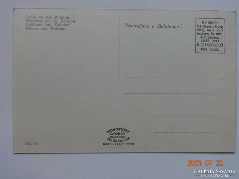 Régi postatiszta képeslap (Monostory): Sirályok a Balatonon