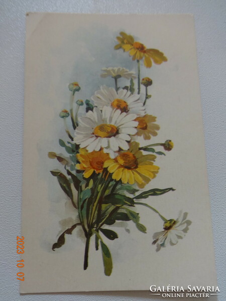 Régi grafikus virágos üdvözlő képeslap - postatiszta