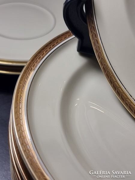 18-Dbos rosenthal selb.Germany winifred yellowish beige base color sophisticated porcelain tableware, detail