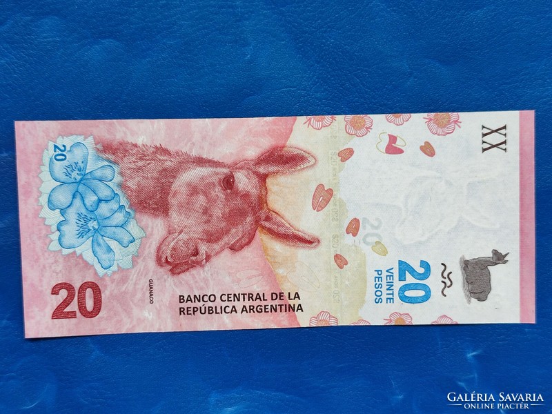 Argentina 20 pesos 2019 (nd 2020) llama guanaco! Ouch!
