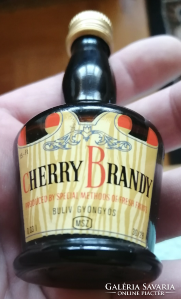 Cherry brandy *buliv* Budapest liquor industry company 0.03 L. Unopened!!