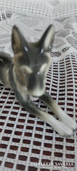 Marked antique metzler & ortloff porcelain Alaskan or Siberian husky, shepherd dog figure, 12cm