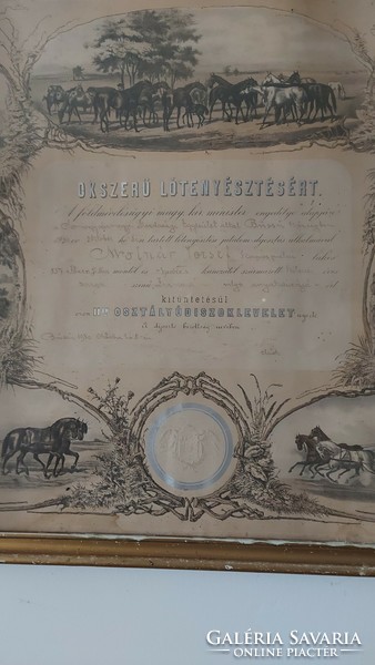 Rare certificate of recognition for horse breeding with dry seal