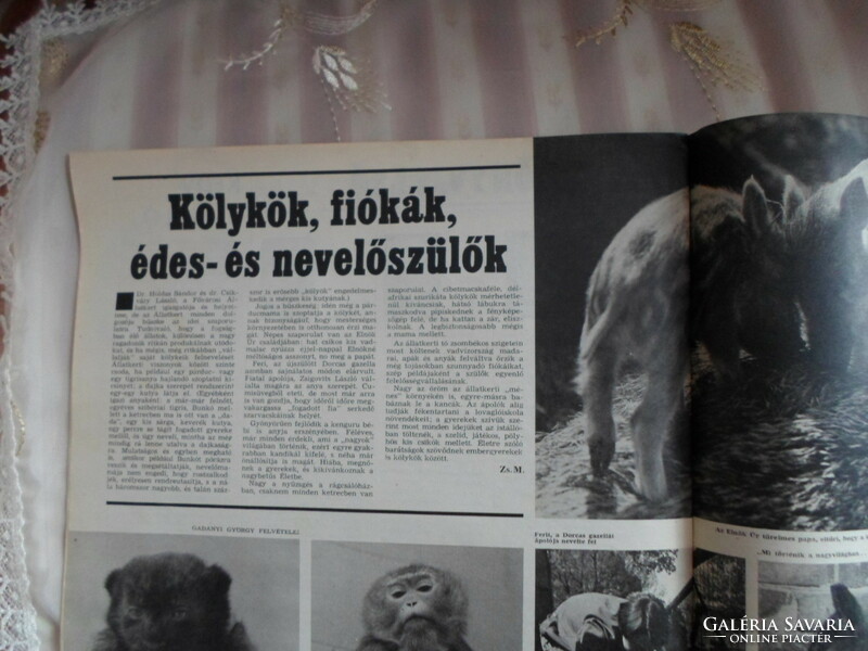 Nők Lapja – 1981. november 28. (régi újság, folyóirat születésnapra)