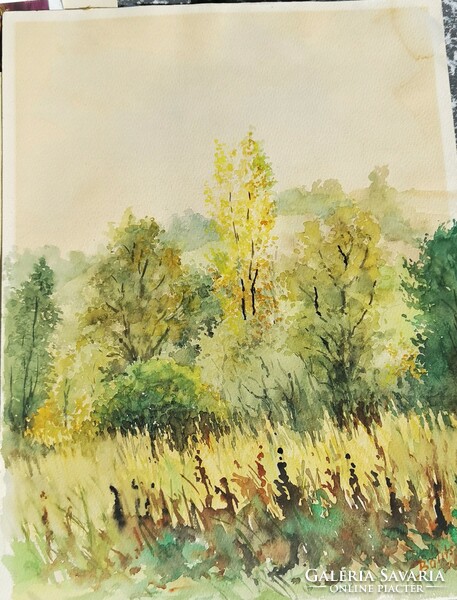 Bálits Kalman watercolor