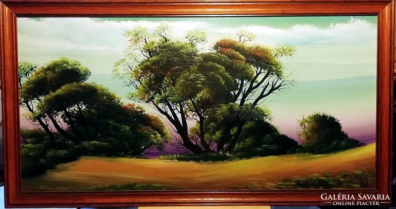 Amazing oil painting by László Marosán - purple sky (80 x 40 + frame)