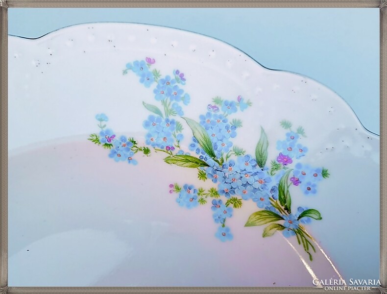 Zsolnay, porcelain wall plate with forget-me-not pattern, beaded rim