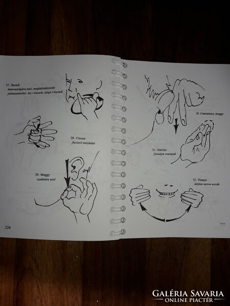 Sign language course book