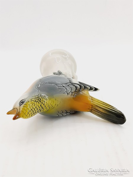 Volkstedt, Ens porcelán madár, 13 cm