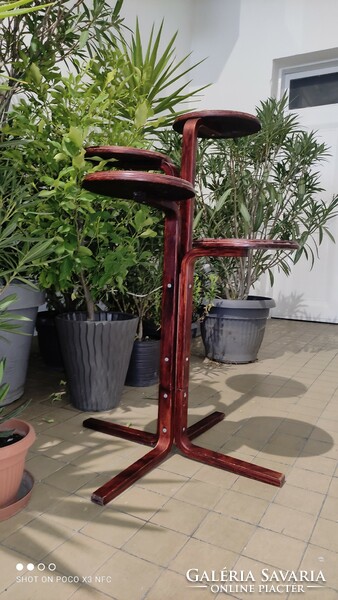 Just for that!!! Bent plywood planter in mahogany can be painted in any trendy color