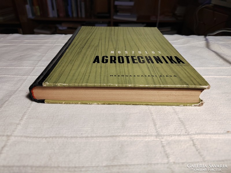 V.P. Mosolov: agrotechnics