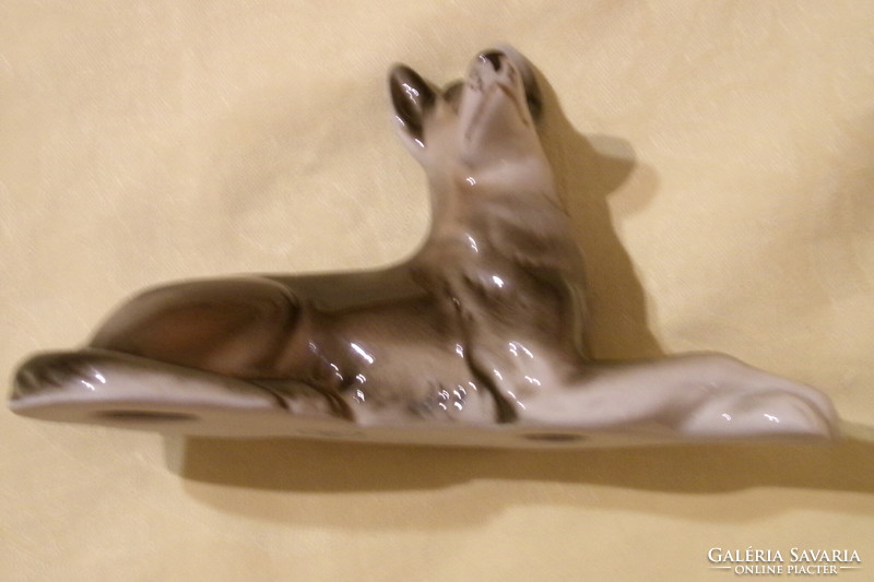 Porcelán kutya skót juhász royal dux 17x6x9cm