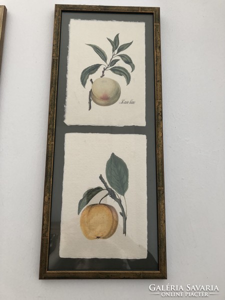 2 x 2 vintage botanical illustrations in a bronze frame, almond - arabica coffee / peach-apple