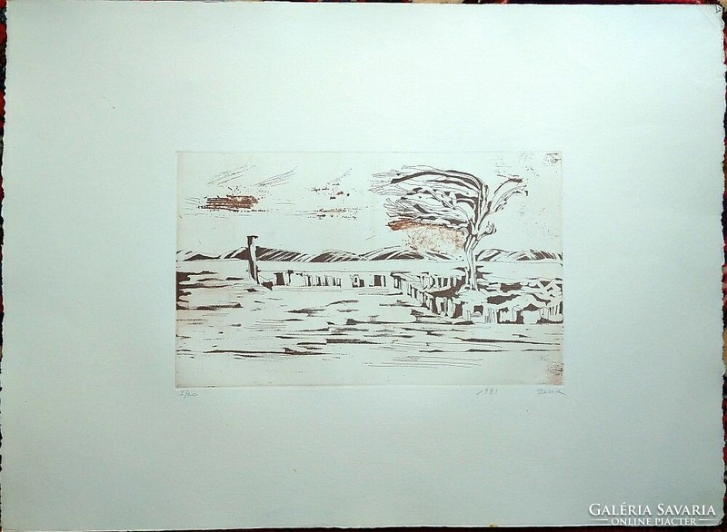 Litkey Bence: "Magányos cédrus" című grafikája 1981-ből